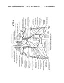 SYSTEMS AND METHODS FOR TREATMENT IN PROXIMITY TO SENSITIVE TISSUE     STRUCTURESAANM MIHALIK; Teresa AnnAACI EncinitasAAST CAAACO USAAGP MIHALIK; Teresa Ann Encinitas CA US diagram and image