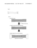 COLLAGEN FIBER CONSTRUCTS FOR REPLACING CRUCIATE LIGAMENTSAANM Haddad; Daniel RolandAACI WuerzburgAACO DEAAGP Haddad; Daniel Roland Wuerzburg DEAANM Haddad-Weber; MeikeAACI WuerzburgAACO DEAAGP Haddad-Weber; Meike Wuerzburg DEAANM Noeth; UlrichAACI WuerzburgAACO DEAAGP Noeth; Ulrich Wuerzburg DE diagram and image