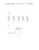 COLLAGEN FIBER CONSTRUCTS FOR REPLACING CRUCIATE LIGAMENTSAANM Haddad; Daniel RolandAACI WuerzburgAACO DEAAGP Haddad; Daniel Roland Wuerzburg DEAANM Haddad-Weber; MeikeAACI WuerzburgAACO DEAAGP Haddad-Weber; Meike Wuerzburg DEAANM Noeth; UlrichAACI WuerzburgAACO DEAAGP Noeth; Ulrich Wuerzburg DE diagram and image