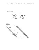 COLLAGEN FIBER CONSTRUCTS FOR REPLACING CRUCIATE LIGAMENTSAANM Haddad; Daniel RolandAACI WuerzburgAACO DEAAGP Haddad; Daniel Roland Wuerzburg DEAANM Haddad-Weber; MeikeAACI WuerzburgAACO DEAAGP Haddad-Weber; Meike Wuerzburg DEAANM Noeth; UlrichAACI WuerzburgAACO DEAAGP Noeth; Ulrich Wuerzburg DE diagram and image