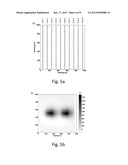 METHOD OF REAL TIME SUBSURFACE IMAGING USING GRAVITY AND/OR MAGNETIC DATA     MEASURED FROM A MOVING PLATFORM diagram and image