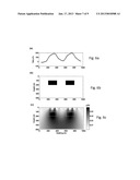 METHOD OF REAL TIME SUBSURFACE IMAGING USING GRAVITY AND/OR MAGNETIC DATA     MEASURED FROM A MOVING PLATFORM diagram and image