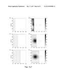 METHOD OF REAL TIME SUBSURFACE IMAGING USING GRAVITY AND/OR MAGNETIC DATA     MEASURED FROM A MOVING PLATFORM diagram and image