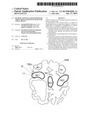 METHOD AND DEVICE FOR DETERMINING TARGET BRAIN SEGMENTS IN HUMAN OR ANIMAL     BRAINSAANM BOTTGER; JoachimAACI BerlinAACO DEAAGP BOTTGER; Joachim Berlin DEAANM Abbushi; AlexanderAACI BerlinAACO DEAAGP Abbushi; Alexander Berlin DEAANM Margulies; Daniel S.AACI BerlinAACO DEAAGP Margulies; Daniel S. Berlin DE diagram and image