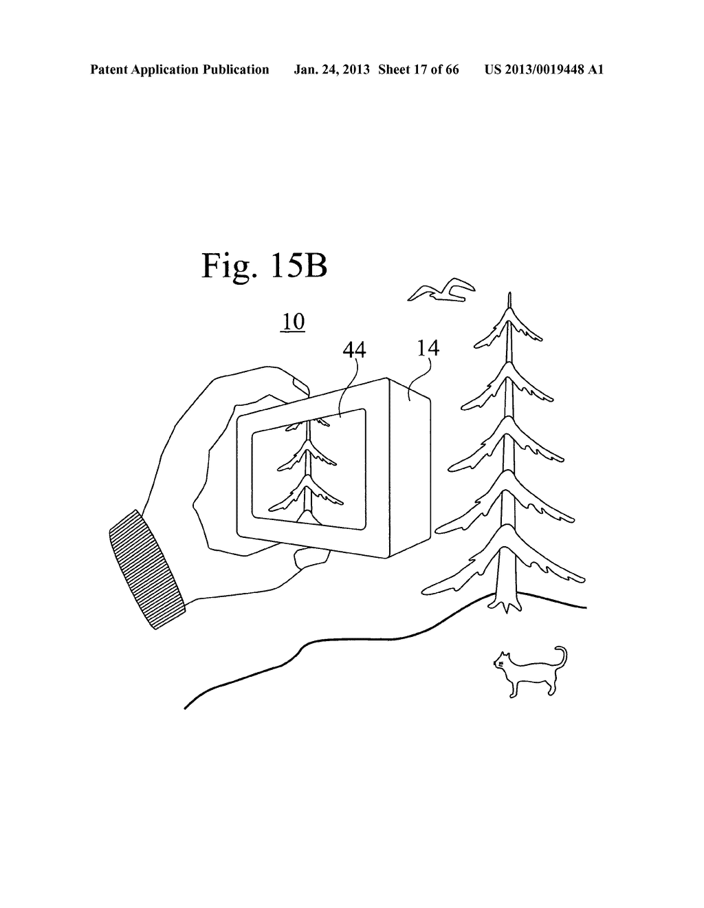 Curved sensor formed from silicon fibers - diagram, schematic, and image 18