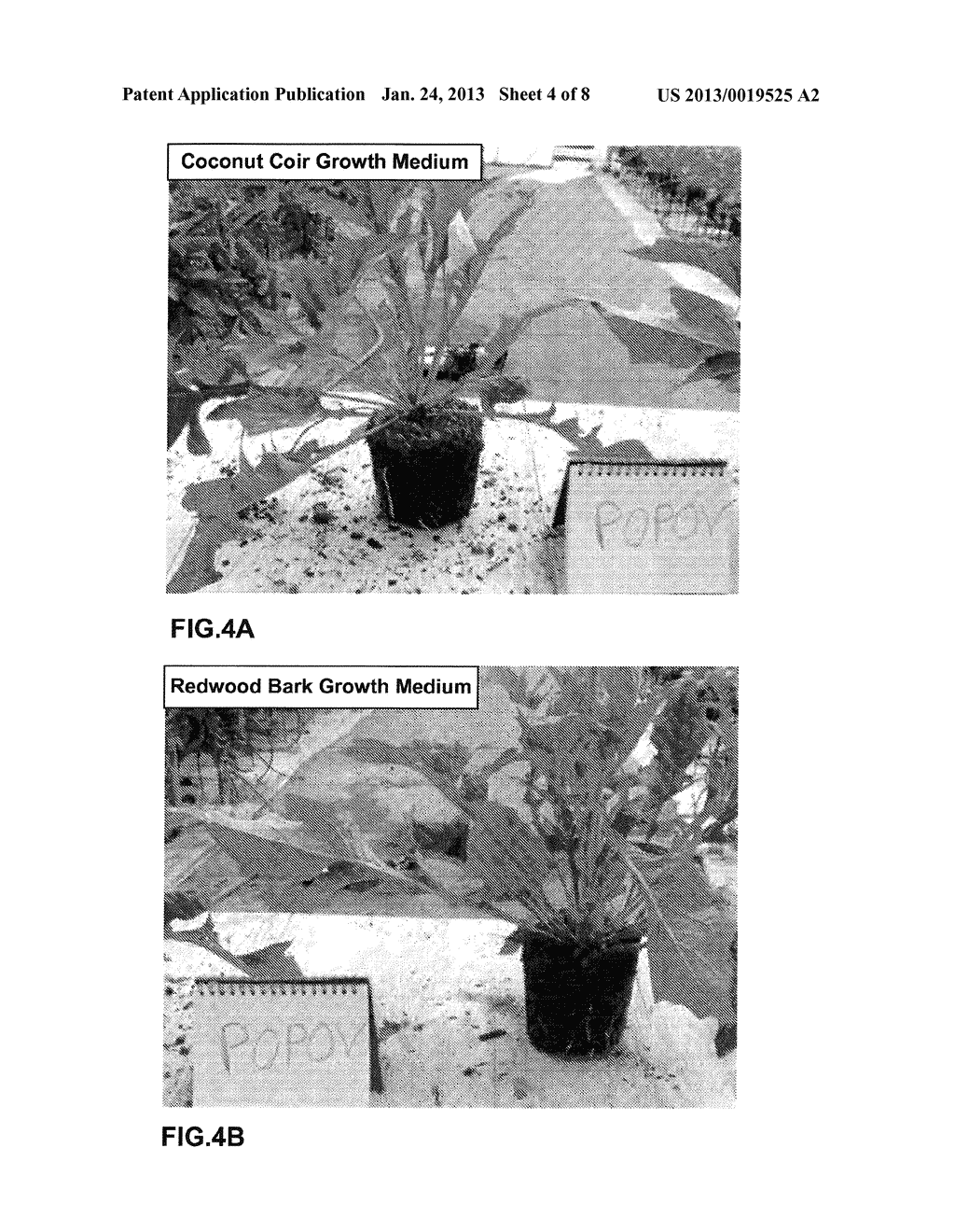 PLANT GROWTH MEDIUM - diagram, schematic, and image 05