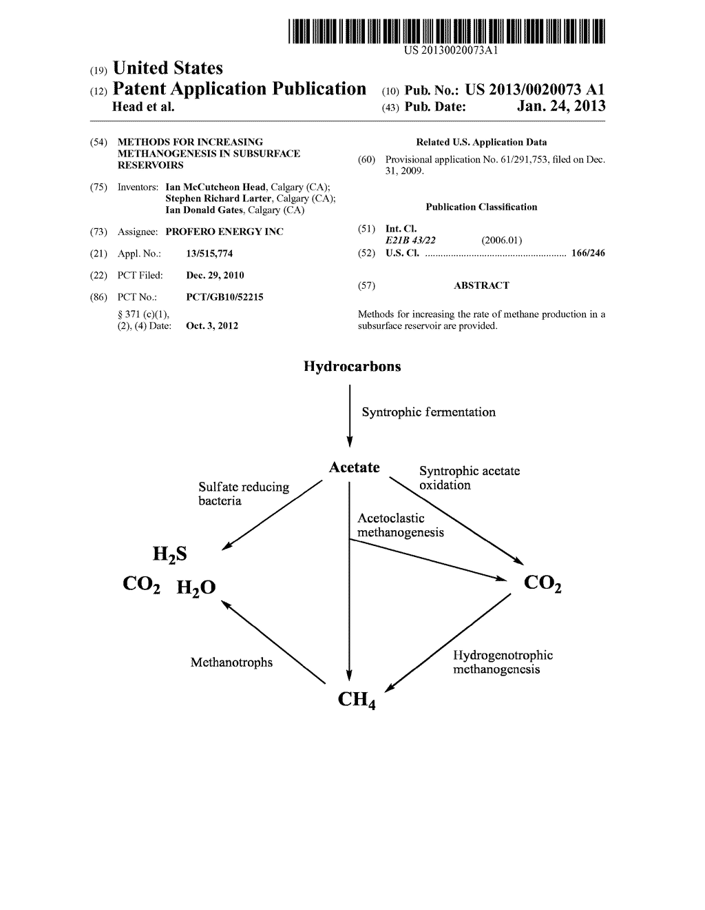 METHODS FOR INCREASING METHANOGENESIS IN SUBSURFACE RESERVOIRS - diagram, schematic, and image 01