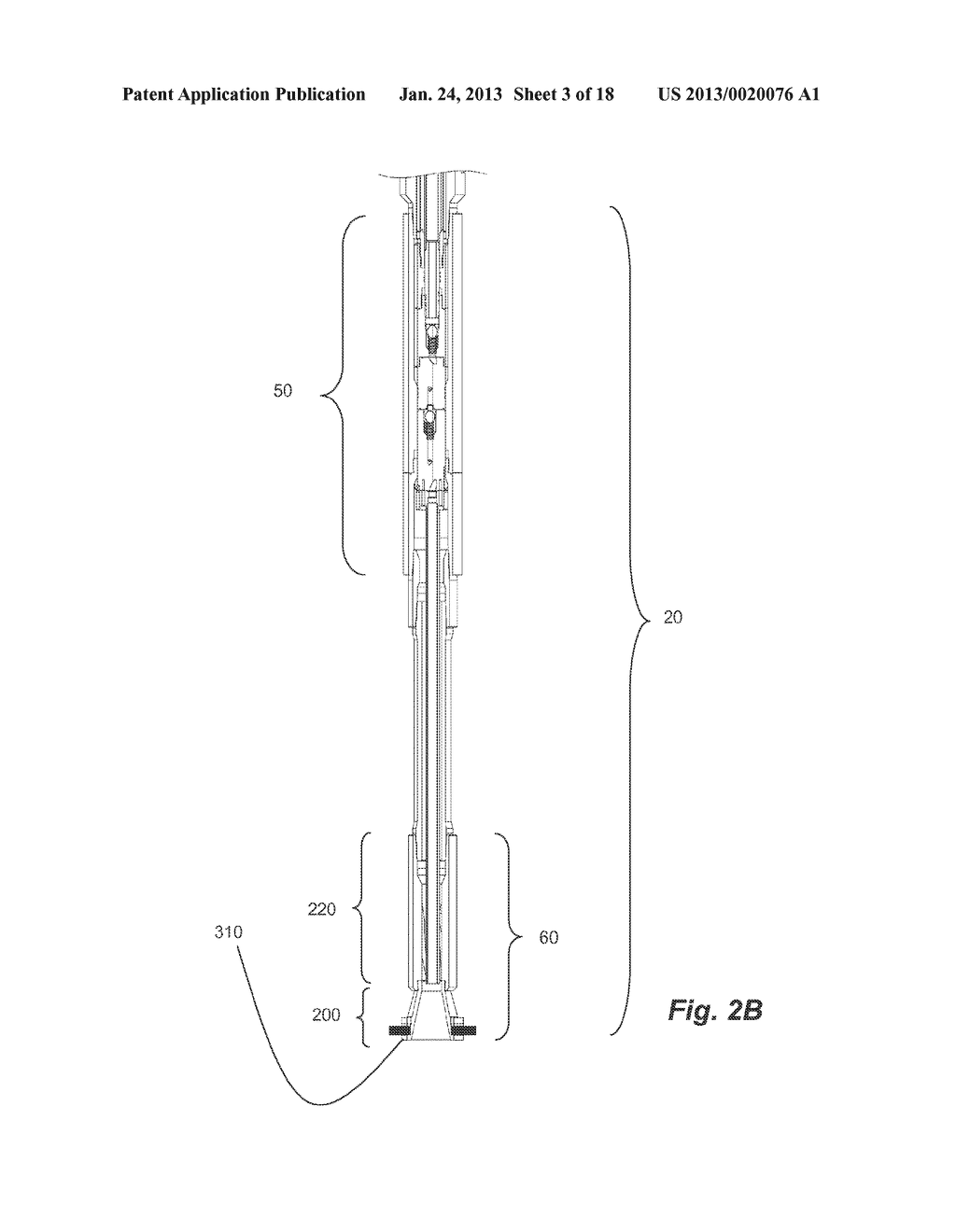 APPARATUS AND METHOD FOR DOWNHOLE STEAM GENERATION AND ENHANCED OIL     RECOVERY - diagram, schematic, and image 04