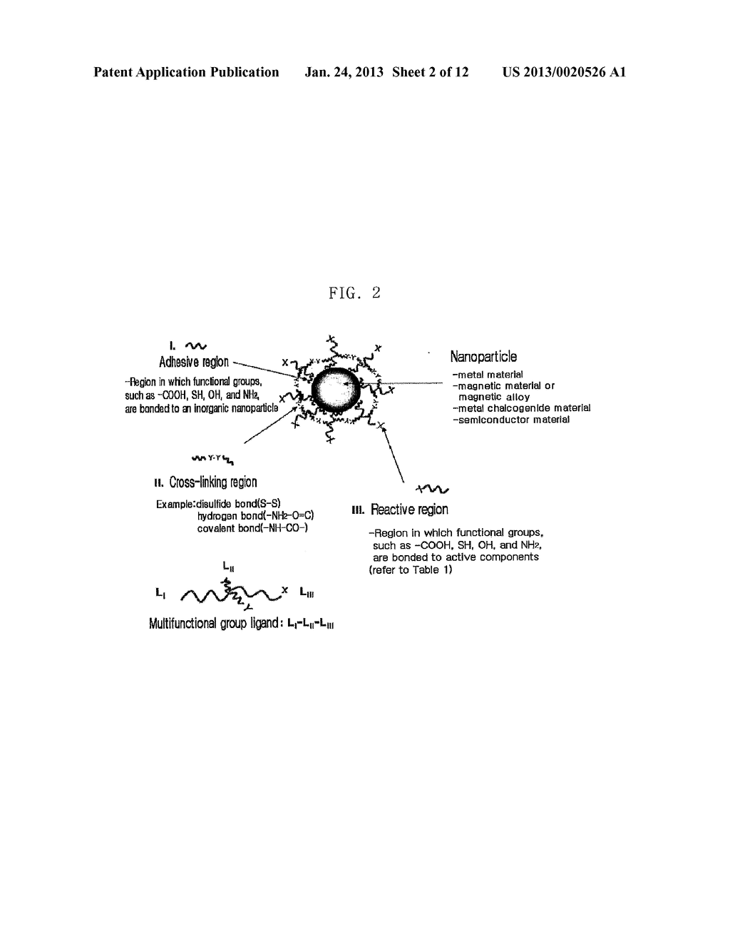Water-Soluble Nanoparticles Stabilized with Multi-Functional Group Ligands     and Method of Preparation Thereof - diagram, schematic, and image 03