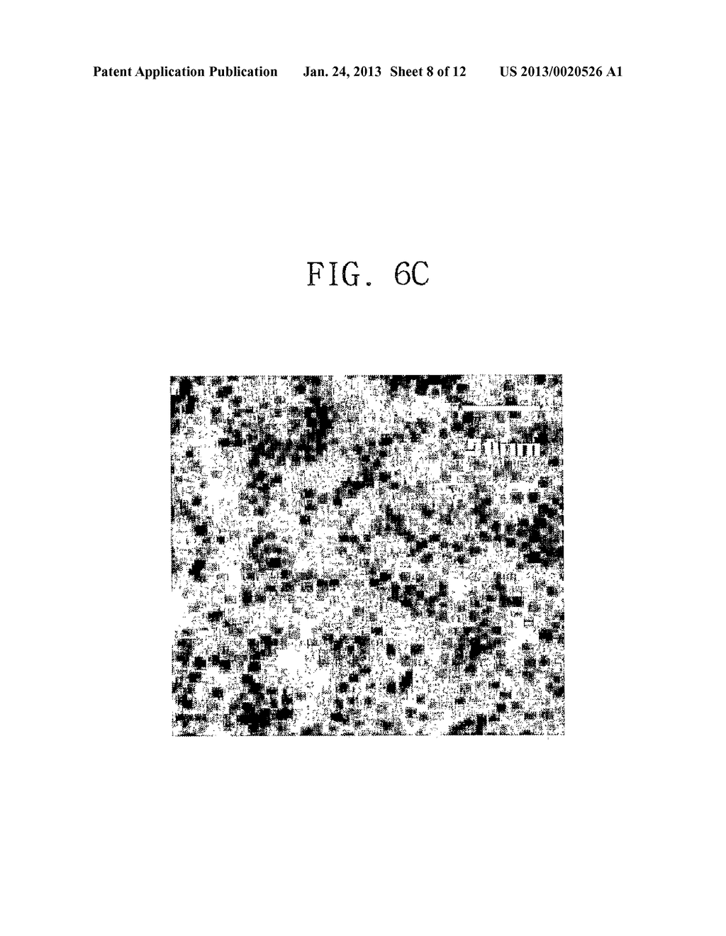 Water-Soluble Nanoparticles Stabilized with Multi-Functional Group Ligands     and Method of Preparation Thereof - diagram, schematic, and image 09