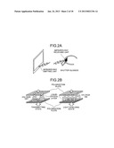 IMAGE PROCESSING SYSTEM, IMAGE PROCESSING DEVICE, IMAGE PROCESSING METHOD,     AND MEDICAL IMAGE DIAGNOSTIC DEVICE diagram and image