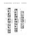 Adaptation of video for use with different number of cameras and displays     at endpoints diagram and image