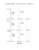 ZOOM LENS diagram and image