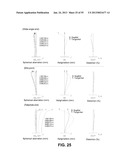 ZOOM LENS diagram and image