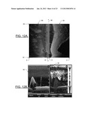 DOWNSCAN IMAGING SONAR diagram and image