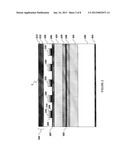 Single-Frequency Distributed Feedback Laser Diode with Complex-Coupling     Coefficient and Transparent Conductive Cladding Layer diagram and image