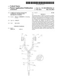 EARBUD SET HAVING INTEGRATED EARPHONES AND PROTECTIVE DECORATIVE COVERING diagram and image