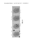 METHOD AND SYSTEM FOR TOOTH SEGMENTATION IN DENTAL IMAGES diagram and image