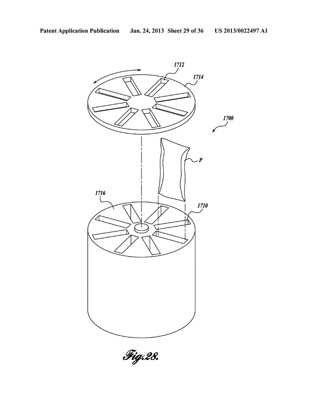 CARRIERS FOR PROCESSING POUCHES AND OTHER IRREGULAR CONTAINERS AND OBJECTS - diagram, schematic, and image 30