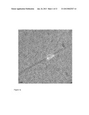 BIOMIMETIC HYDROXYAPATITE SYNTHESIS diagram and image