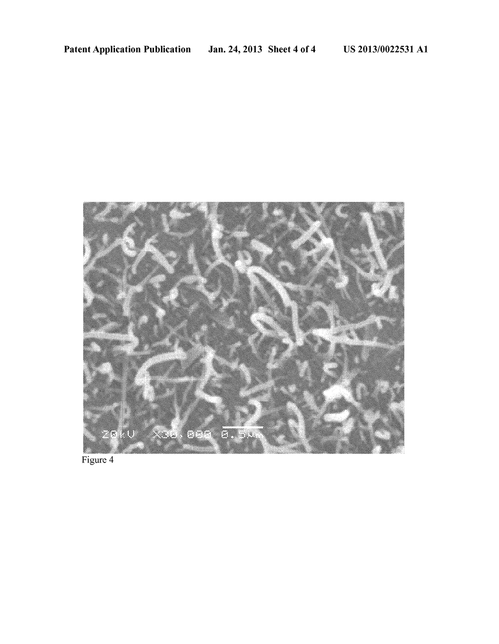 FILTER AND PROCESS OF USE TO PRODUCE CARBON NANOTUBES FROM AUTOMOTIVE     EXHAUSTS - diagram, schematic, and image 05