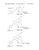 HALOGENATED PHENOLS FOR DIAGNOSTICS, ANTIOXIDANT PROTECTION AND DRUG     DELIVERY diagram and image