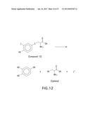 HALOGENATED PHENOLS FOR DIAGNOSTICS, ANTIOXIDANT PROTECTION AND DRUG     DELIVERY diagram and image