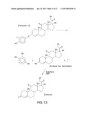 HALOGENATED PHENOLS FOR DIAGNOSTICS, ANTIOXIDANT PROTECTION AND DRUG     DELIVERY diagram and image