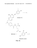 HALOGENATED PHENOLS FOR DIAGNOSTICS, ANTIOXIDANT PROTECTION AND DRUG     DELIVERY diagram and image