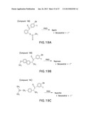 HALOGENATED PHENOLS FOR DIAGNOSTICS, ANTIOXIDANT PROTECTION AND DRUG     DELIVERY diagram and image