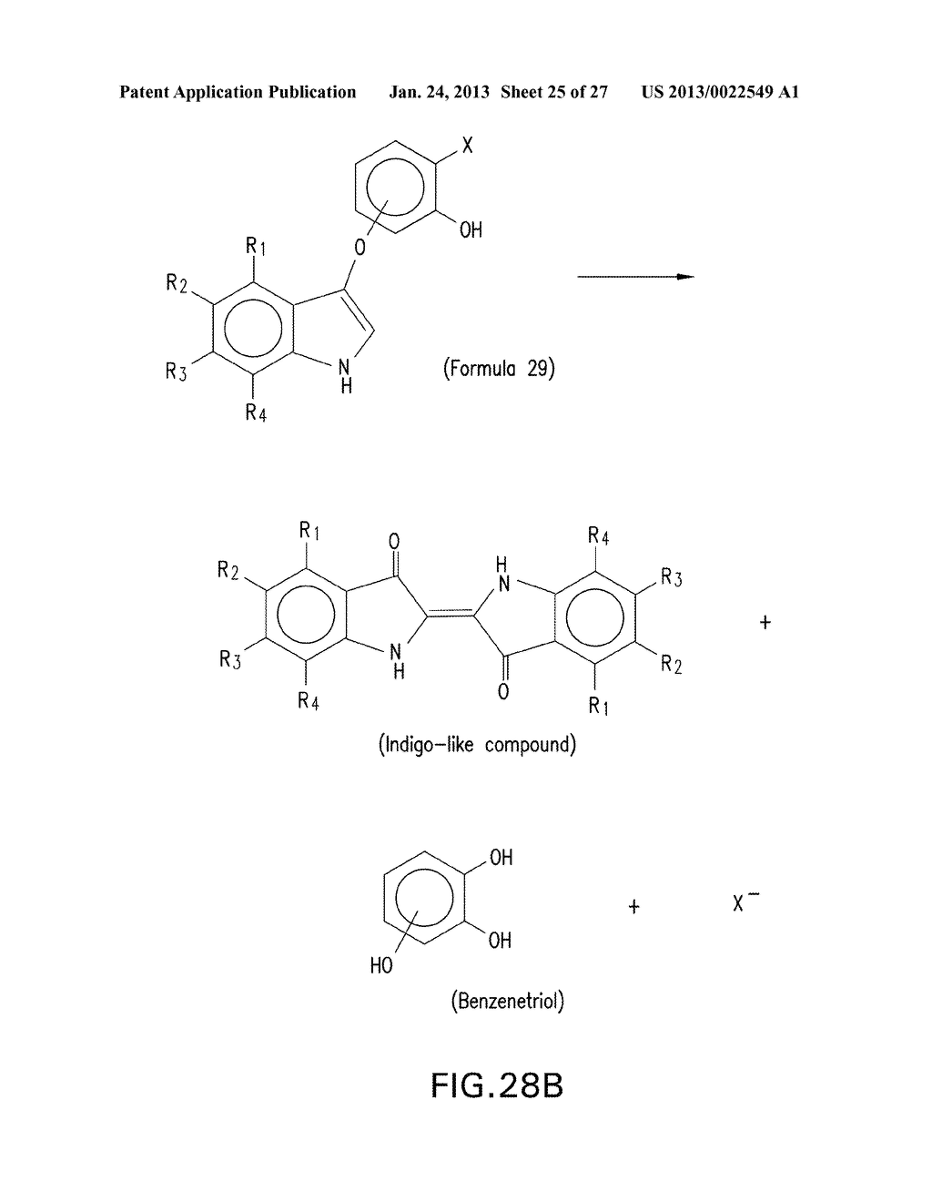 HALOGENATED PHENOLS FOR DIAGNOSTICS, ANTIOXIDANT PROTECTION AND DRUG     DELIVERY - diagram, schematic, and image 26