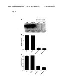 NOVEL POLYAMINO POLYKETIDE ANTIBIOTICS AND USES THEREOF diagram and image