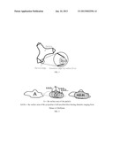 LIQUID CLEANING COMPOSITION AND/OR CLEANSING COMPOSITION diagram and image