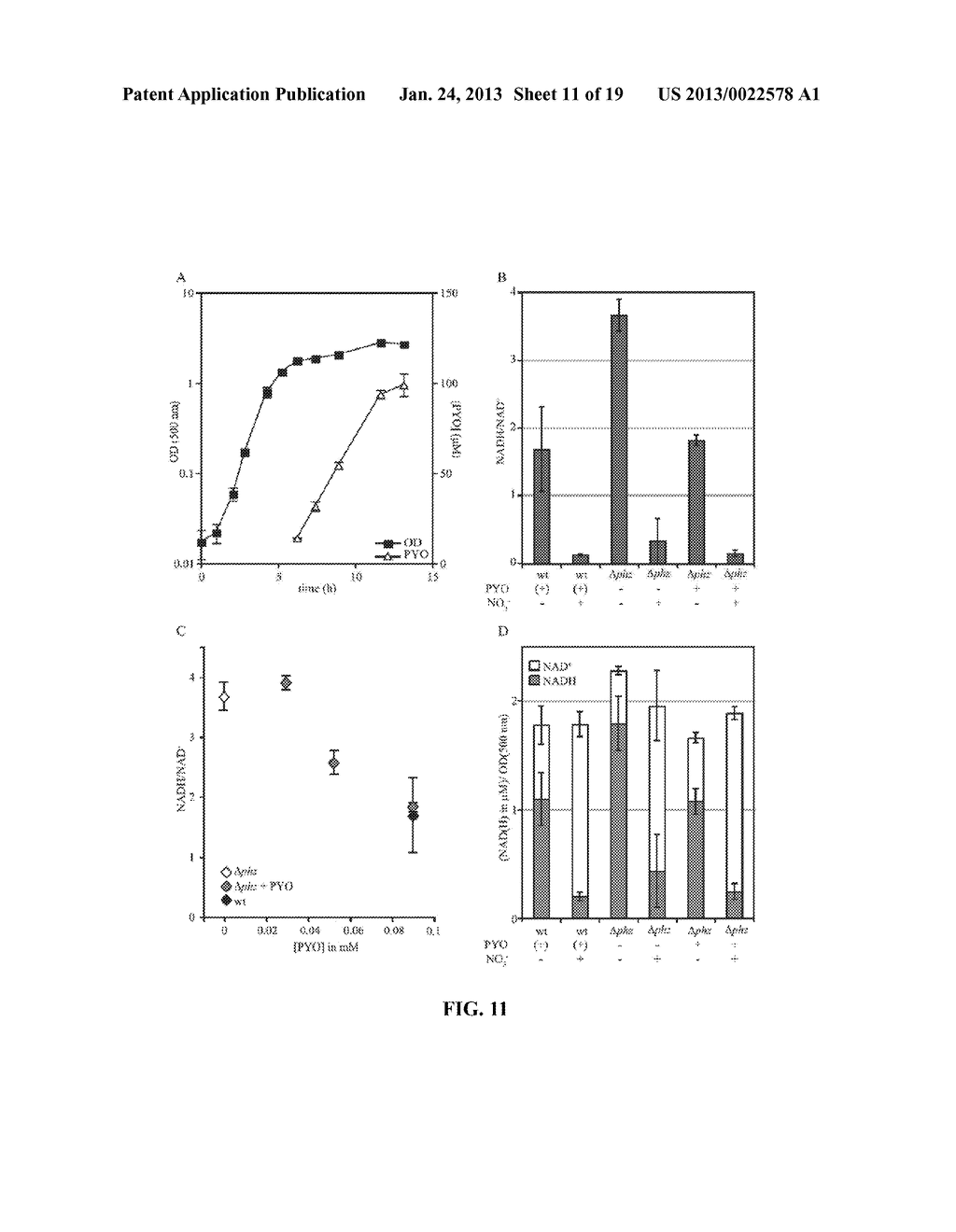 METHODS AND SYSTEM FOR INTERFERING WITH VIABILITY OF BACTERIA AND RELATED     COMPOUNDS AND COMPOSITIONS - diagram, schematic, and image 12