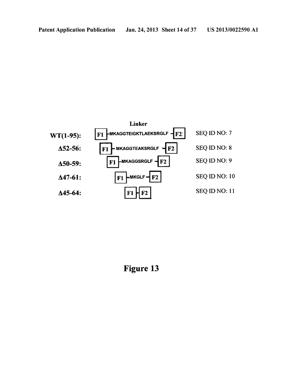 Compositions Comprising Zinc Finger Domains and Uses Therefor - diagram, schematic, and image 15