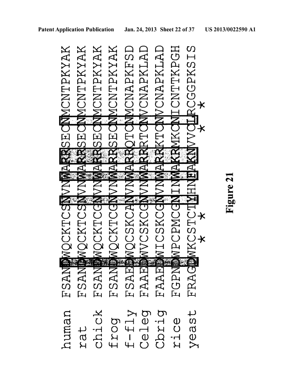 Compositions Comprising Zinc Finger Domains and Uses Therefor - diagram, schematic, and image 23