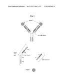 TRIVALENT, BISPECIFIC ANTIBODIES diagram and image