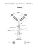 TRIVALENT, BISPECIFIC ANTIBODIES diagram and image