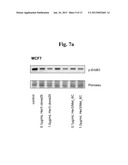 TRIVALENT, BISPECIFIC ANTIBODIES diagram and image