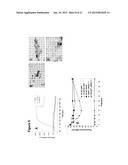 ASSAYS AND METHODS PERTAINING TO PRE-AMYLOID INTERMEDIATES diagram and image