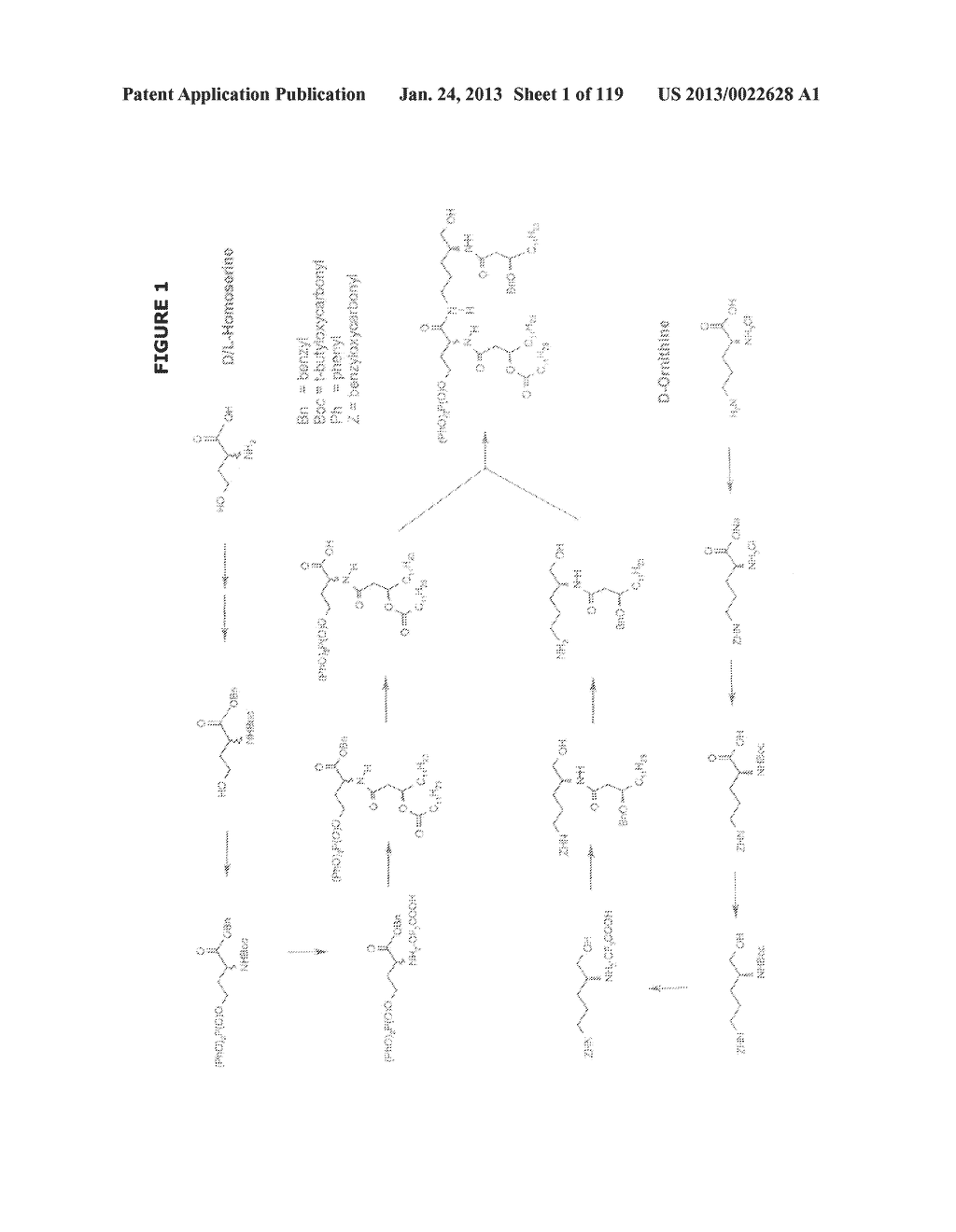 ACYL PSEUDOPEPTIDES WHICH CARRY A FUNCTIONALIZED AUXILIARY ARM - diagram, schematic, and image 02