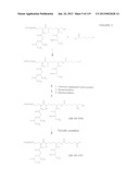 ACYL PSEUDOPEPTIDES WHICH CARRY A FUNCTIONALIZED AUXILIARY ARM diagram and image