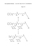 ACYL PSEUDOPEPTIDES WHICH CARRY A FUNCTIONALIZED AUXILIARY ARM diagram and image