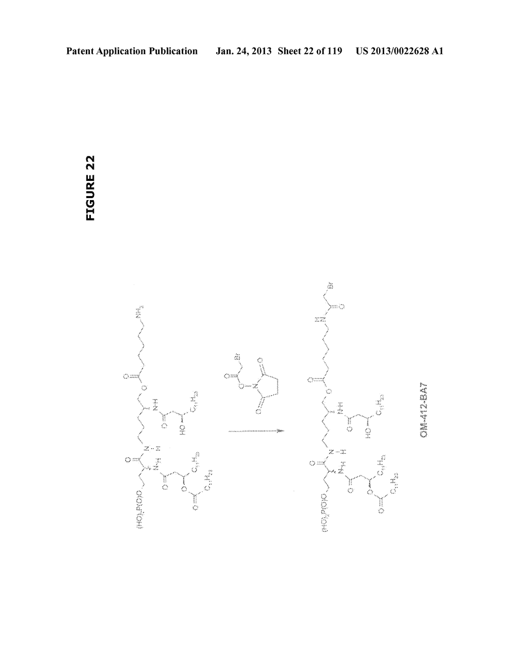 ACYL PSEUDOPEPTIDES WHICH CARRY A FUNCTIONALIZED AUXILIARY ARM - diagram, schematic, and image 23