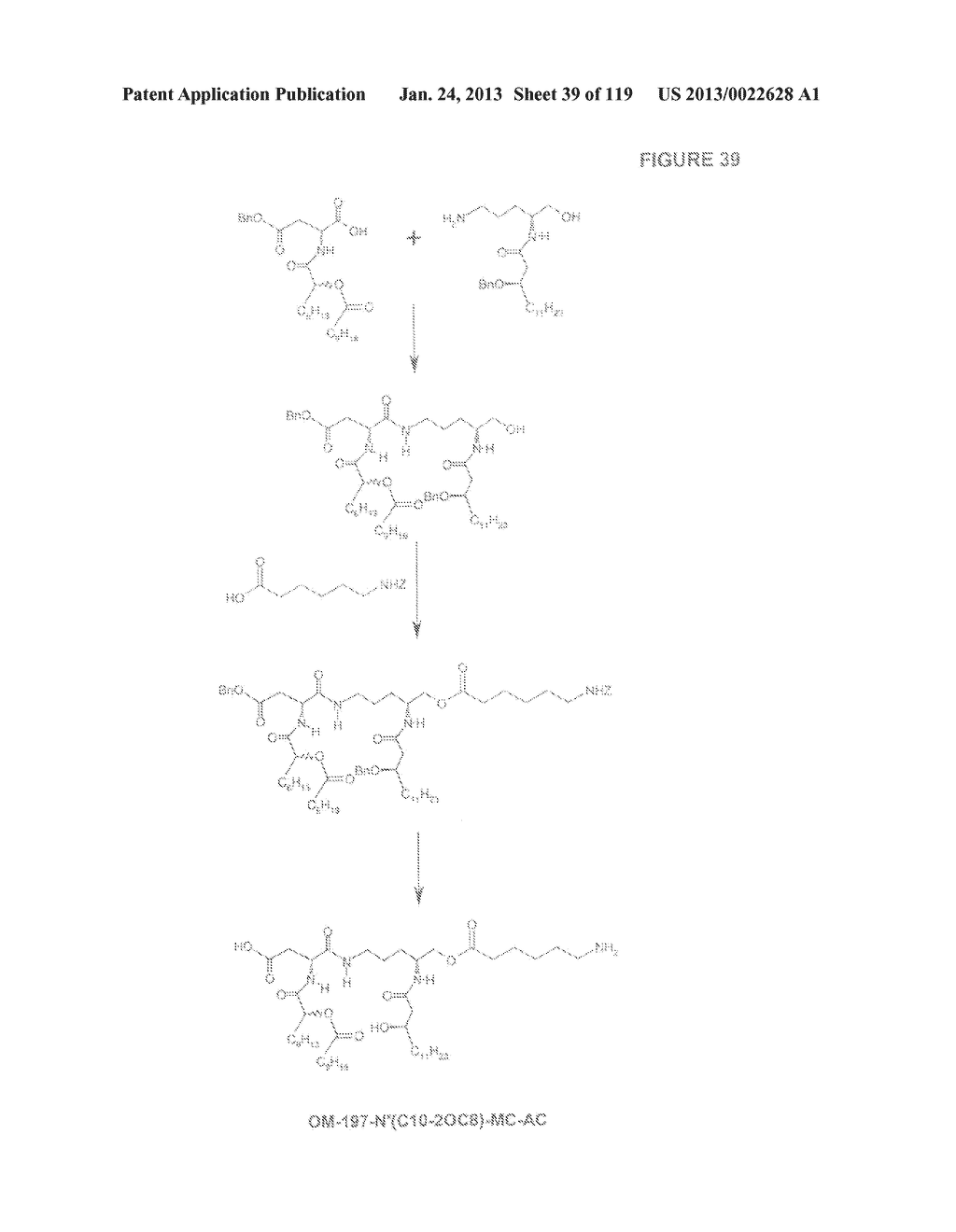 ACYL PSEUDOPEPTIDES WHICH CARRY A FUNCTIONALIZED AUXILIARY ARM - diagram, schematic, and image 40