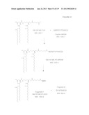 ACYL PSEUDOPEPTIDES WHICH CARRY A FUNCTIONALIZED AUXILIARY ARM diagram and image