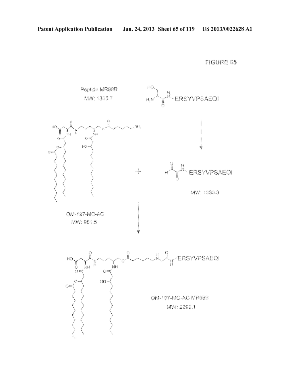 ACYL PSEUDOPEPTIDES WHICH CARRY A FUNCTIONALIZED AUXILIARY ARM - diagram, schematic, and image 66