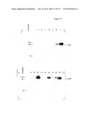 ACYL PSEUDOPEPTIDES WHICH CARRY A FUNCTIONALIZED AUXILIARY ARM diagram and image