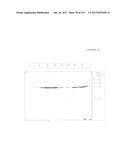 ACYL PSEUDOPEPTIDES WHICH CARRY A FUNCTIONALIZED AUXILIARY ARM diagram and image