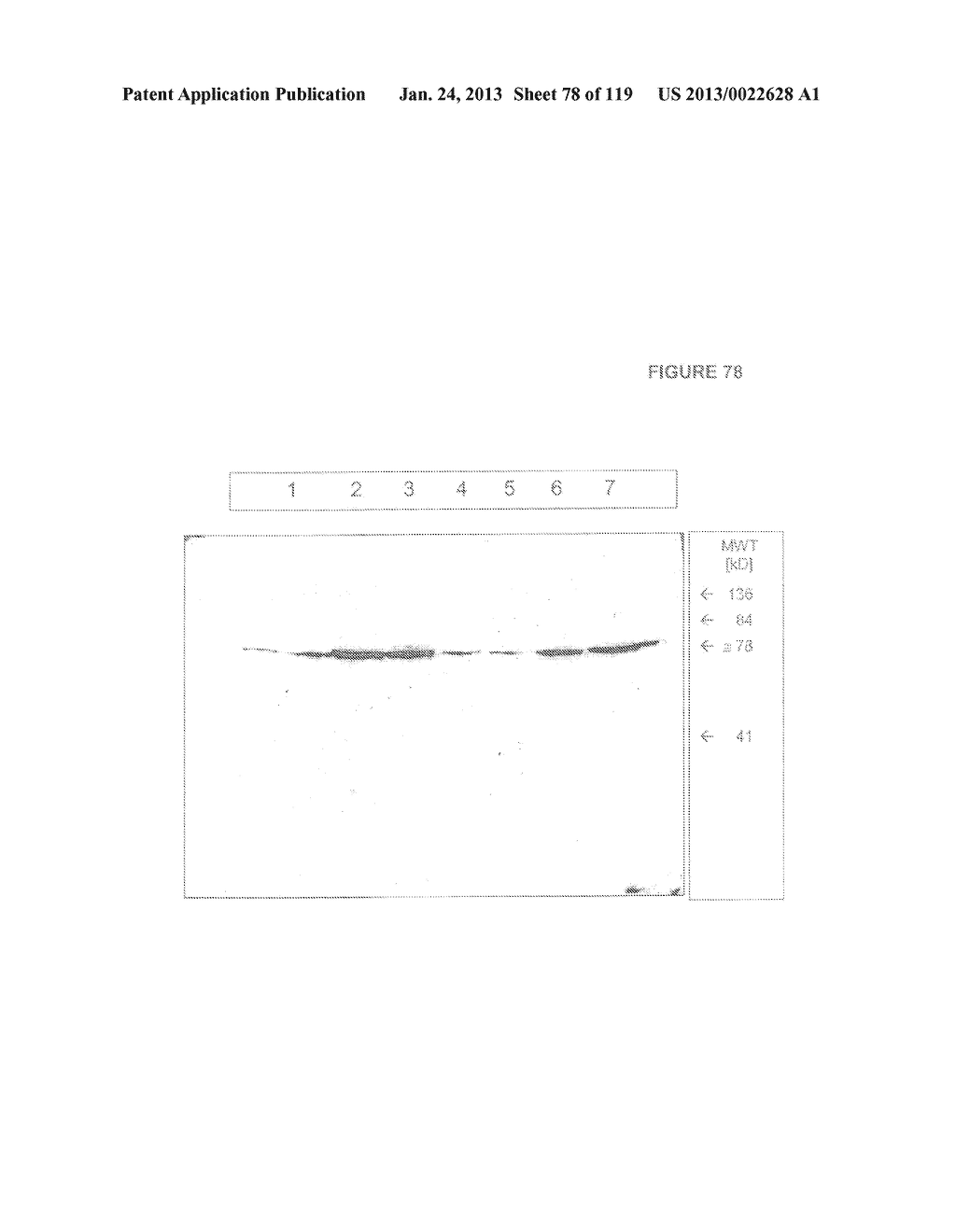 ACYL PSEUDOPEPTIDES WHICH CARRY A FUNCTIONALIZED AUXILIARY ARM - diagram, schematic, and image 79